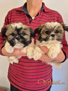 Sicu dva decka i devojcica